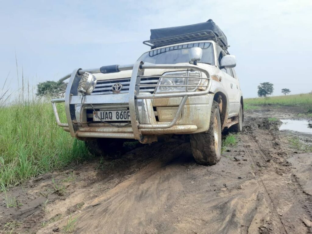 4x4 self drive uganda-